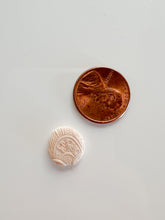 Load image into Gallery viewer, White Gold Studs